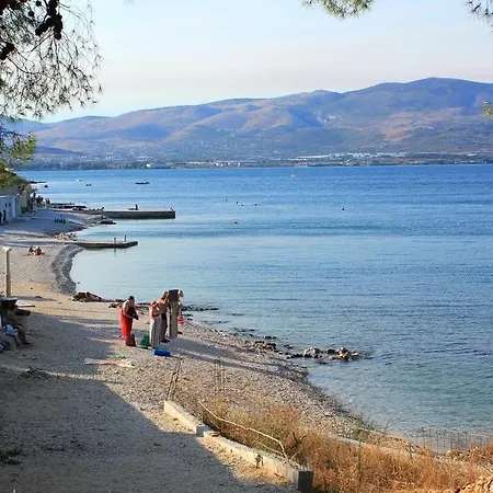 Katja Τρογκίρ