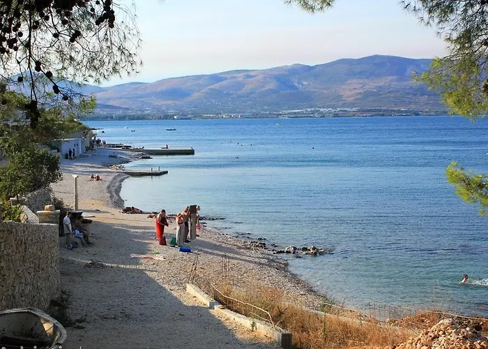Katja Trogir